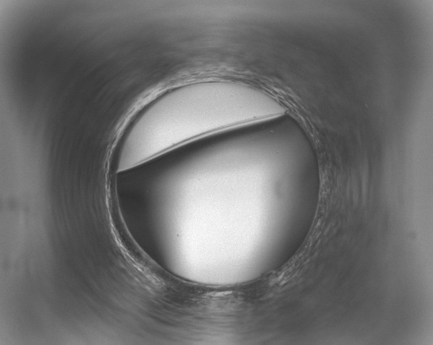 X0000056310054200508260835