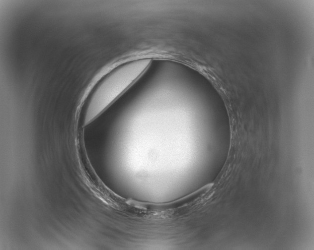 X0000056310056200508260835