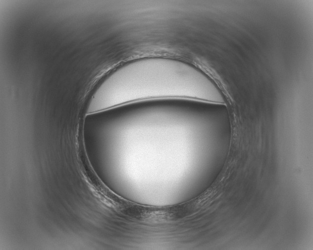 X0000056310058200508260835