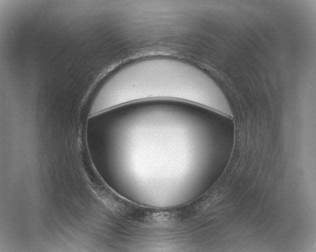 X0000056310064200508260835