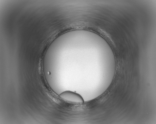 X0000056310065200508260836