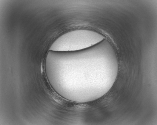 X0000056310069200508260836