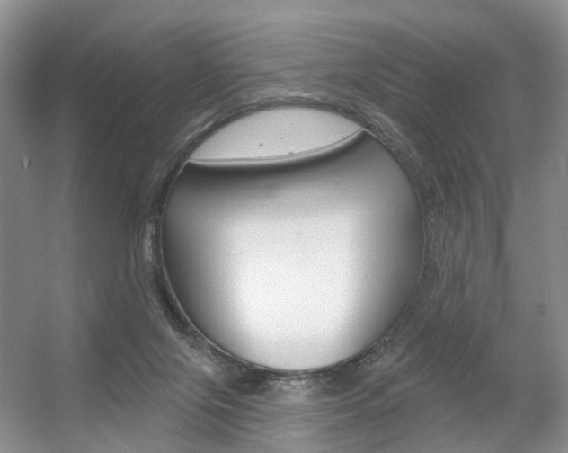 X0000056310071200508260836