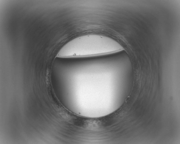 X0000056310073200508260836