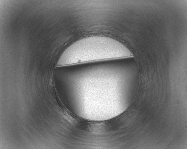 X0000056310081200508260836