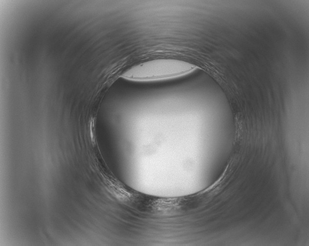X0000056310094200508260836