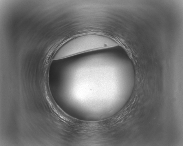 X0000056310097200508260835
