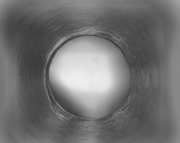 X0000056310100200508260835