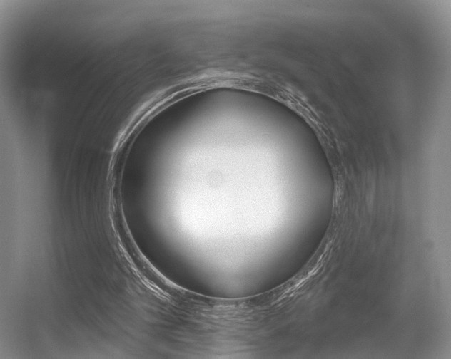X0000056310101200508260835