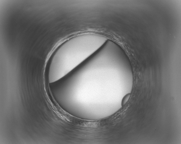 X0000056310102200508260835