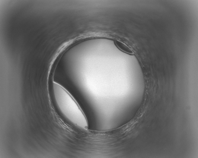 X0000056310104200508260835