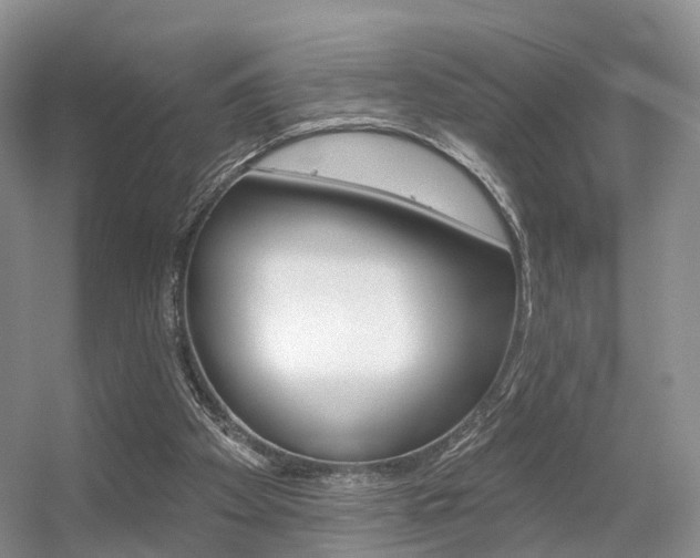 X0000056310105200508260835