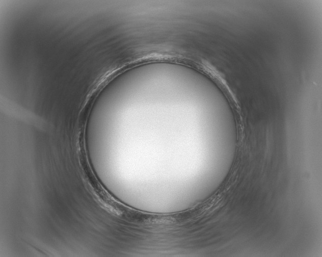 X0000056310106200508260835