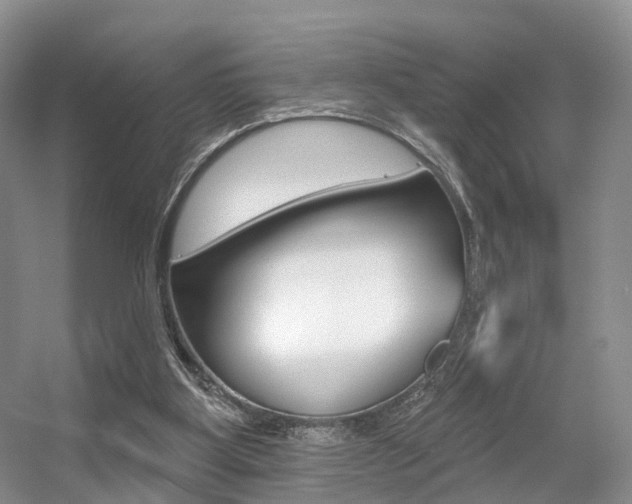 X0000056310107200508260835