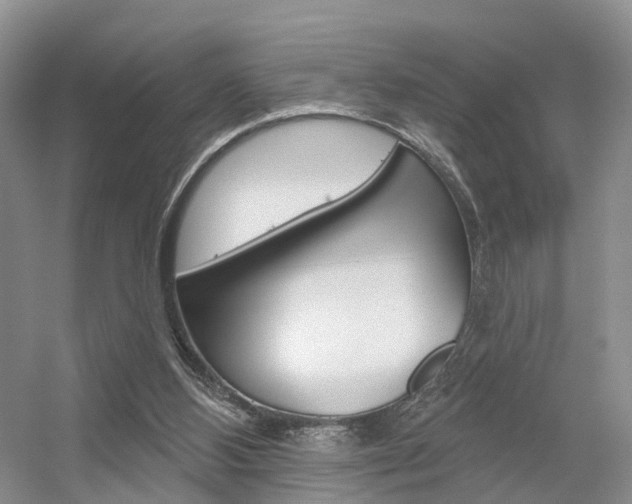 X0000056310108200508260835