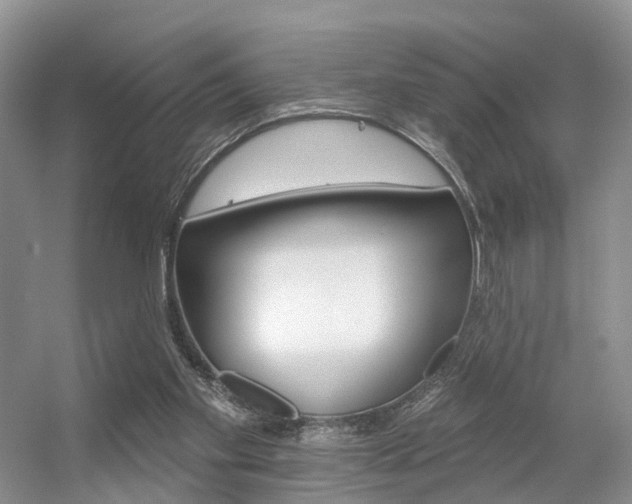 X0000056310109200508260835