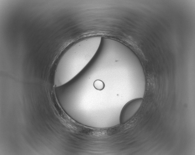 X0000056310110200508260835