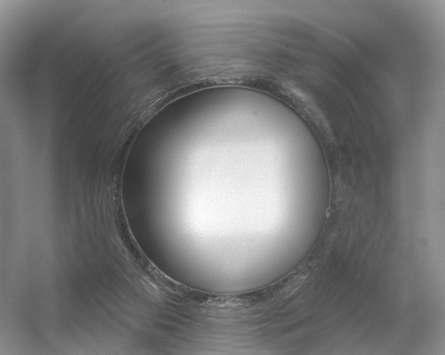 X0000056310113200508260835