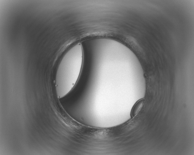 X0000056310116200508260835