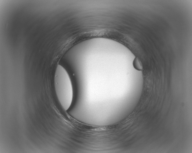 X0000056310118200508260835