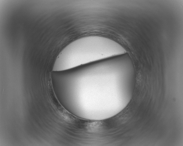 X0000056310122200508260835