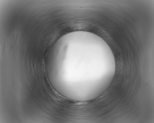 X0000056310126200508260835