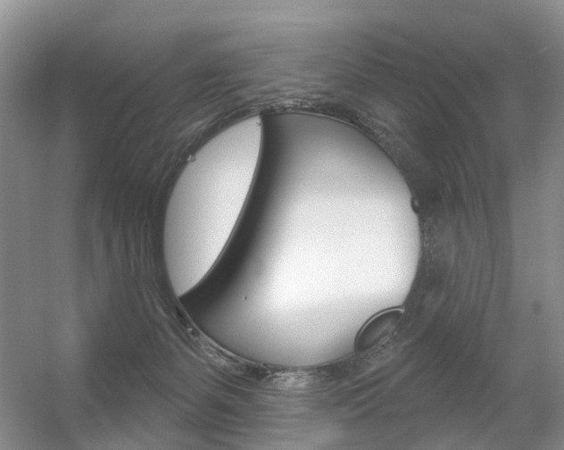 X0000056310127200508260835