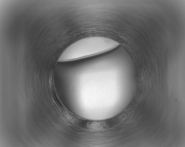 X0000056310129200508260835