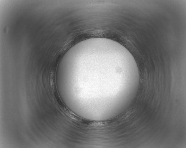 X0000056310131200508260835