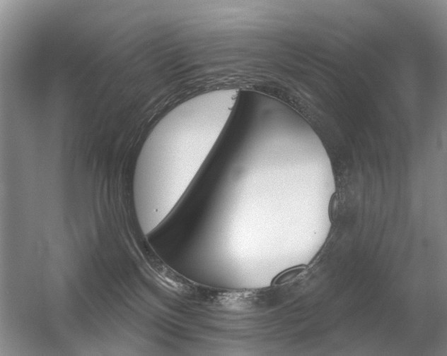 X0000056310136200508260835