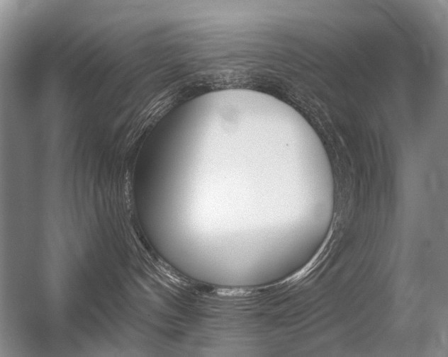 X0000056310144200508260834
