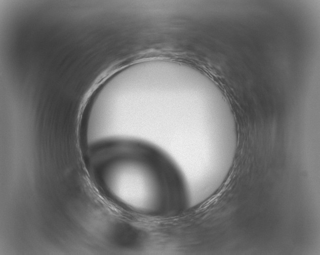 X0000056310150200508260834