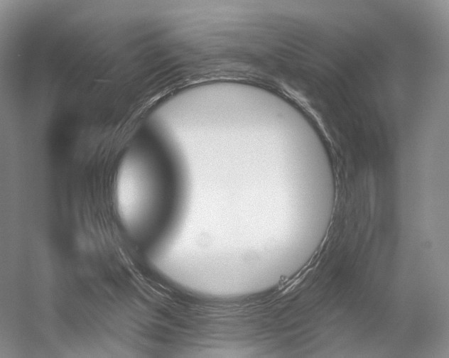 X0000056310154200508260834