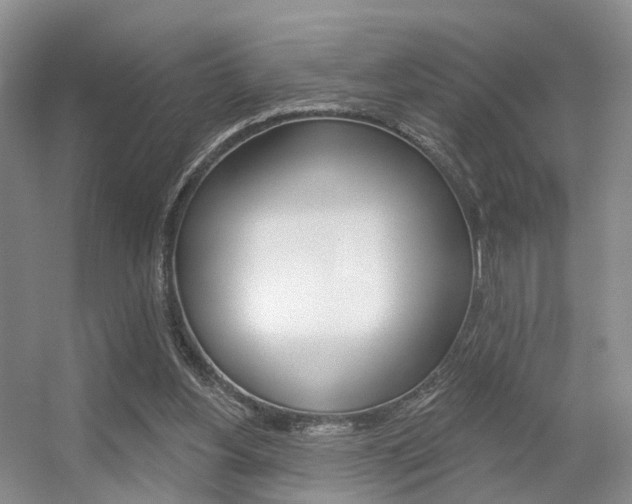 X0000056310156200508260834