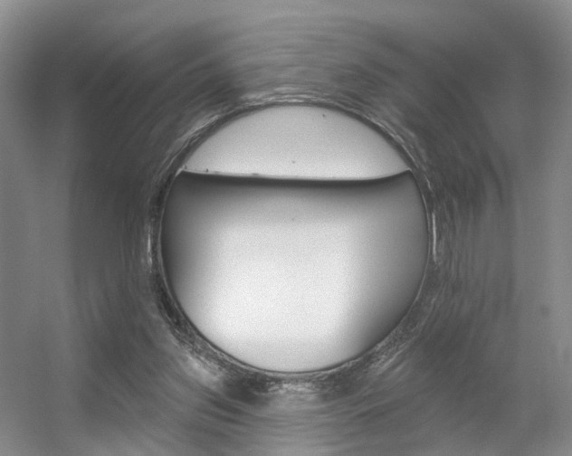X0000056310157200508260834