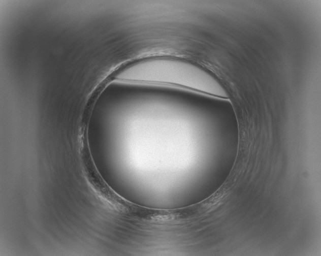 X0000056310160200508260834