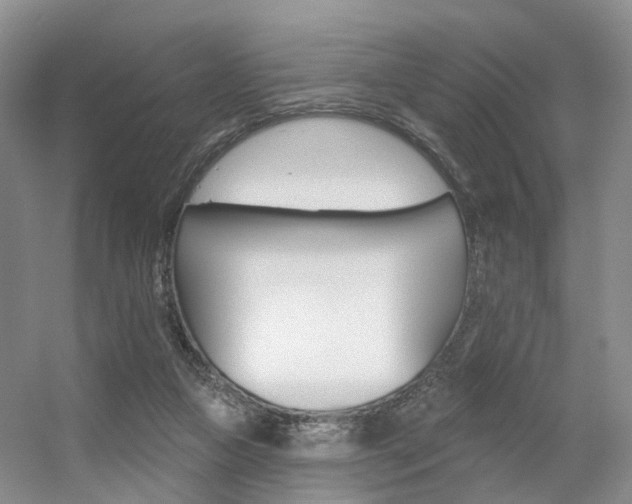 X0000056310161200508260834