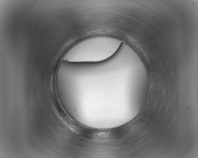 X0000056310163200508260834