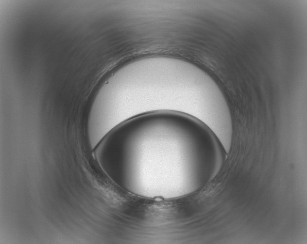 X0000056310164200508260834