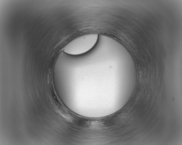 X0000056310165200508260834
