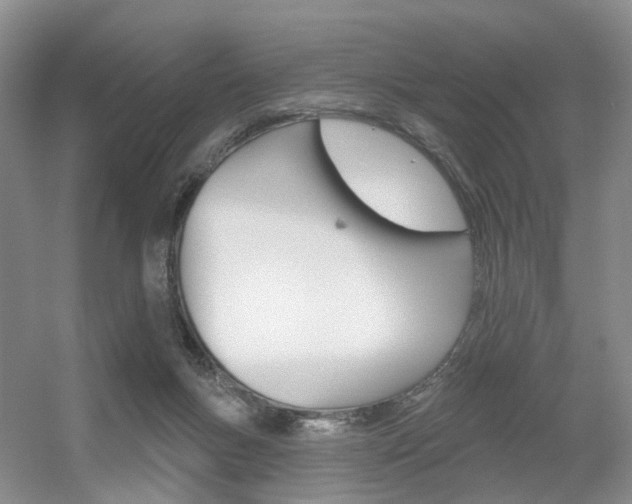 X0000056310167200508260834