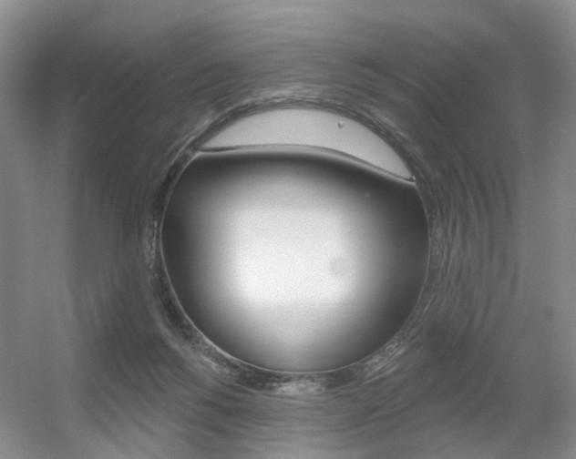 X0000056310168200508260834