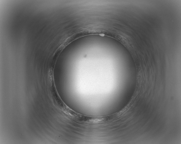 X0000056310172200508260834