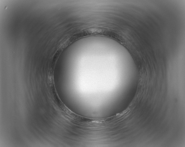 X0000056310176200508260834