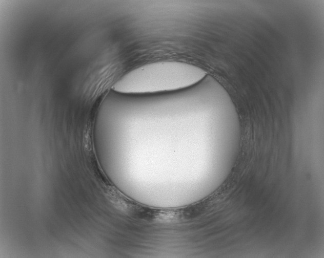 X0000056310177200508260834