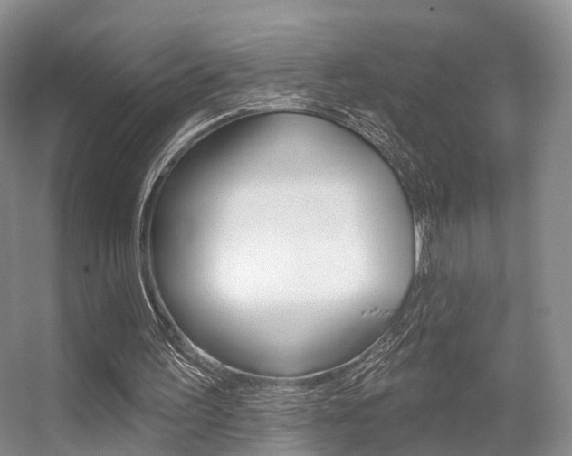 X0000056310195200508260834