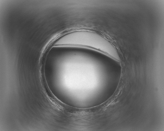 X0000056310197200508260834