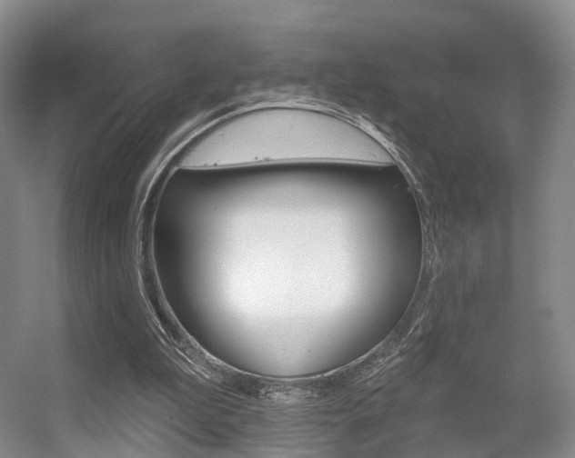 X0000056310199200508260833