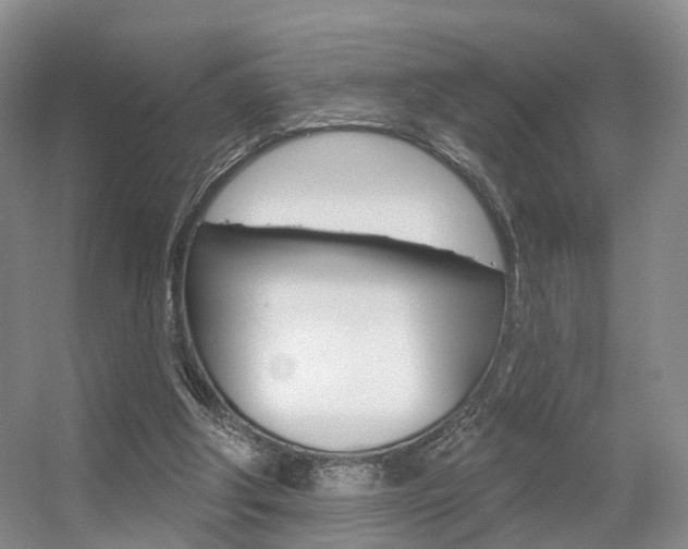 X0000056310202200508260833