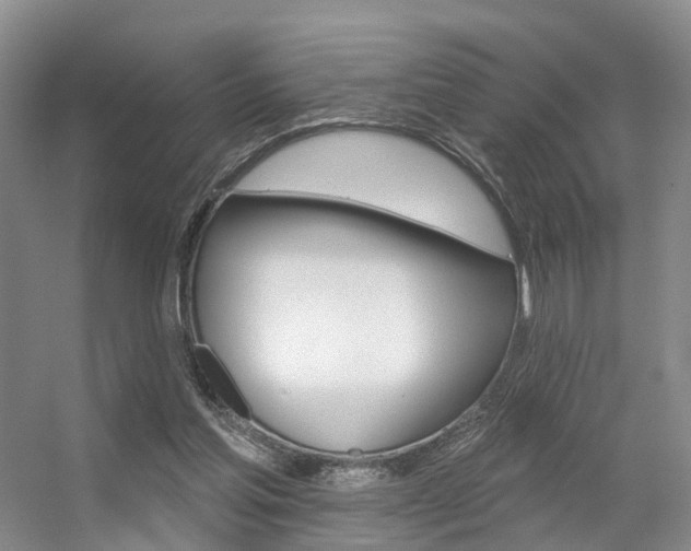 X0000056310205200508260833